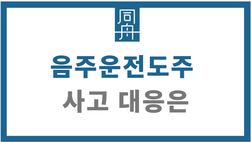 음주운전도주