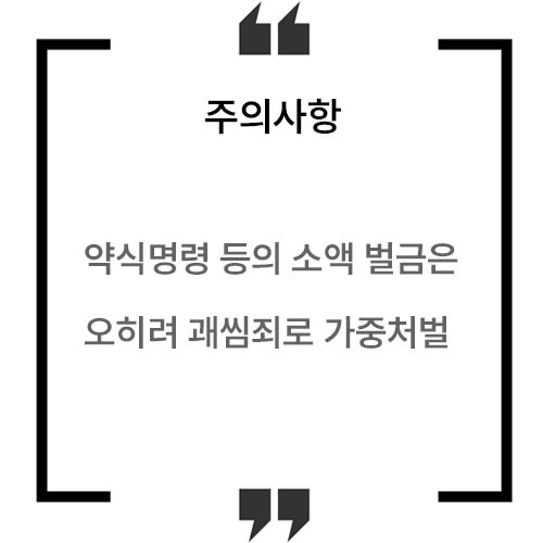 약식명령벌금