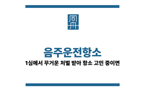 음주운전항소