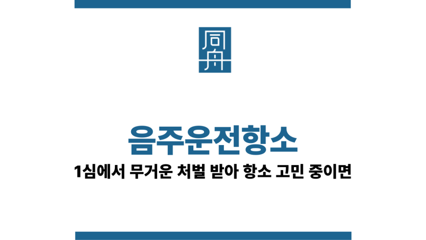 음주운전항소