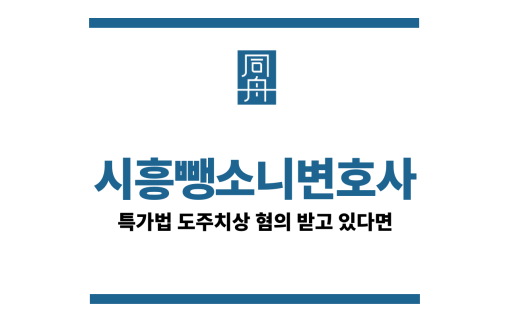 시흥뺑소니변호사