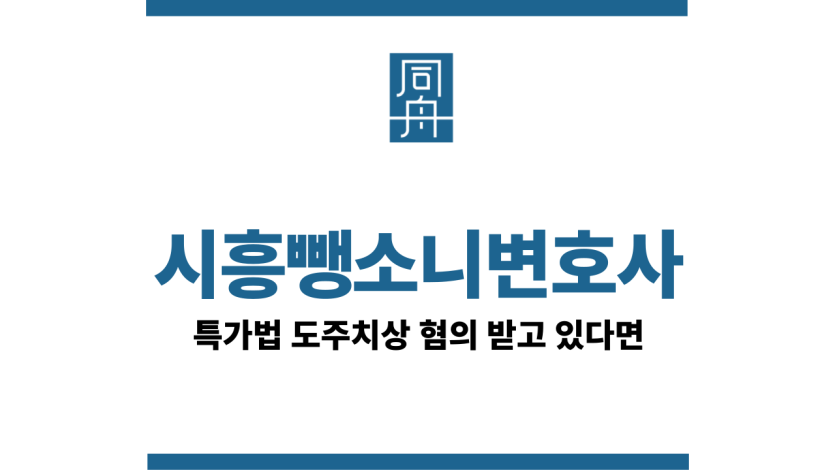 시흥뺑소니변호사