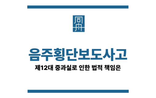 음주횡단보도사고