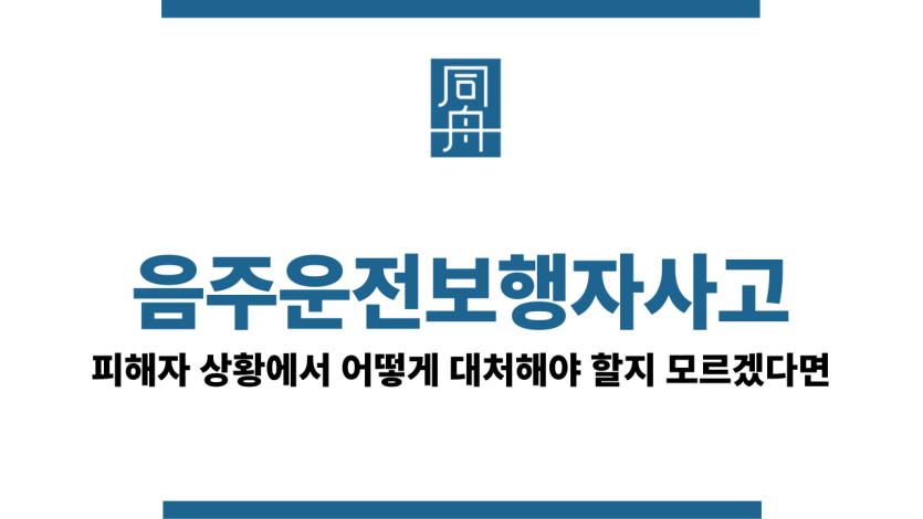 음주운전보행자사고