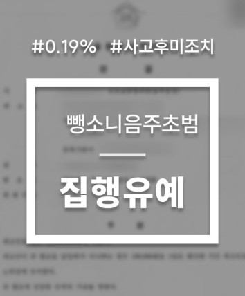 음주운전 뺑소니 집행유예