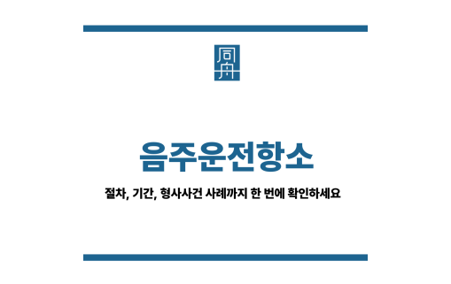 음주운전항소