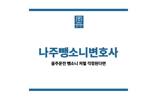 나주뺑소니변호사