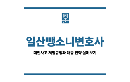 일산뺑소니변호사