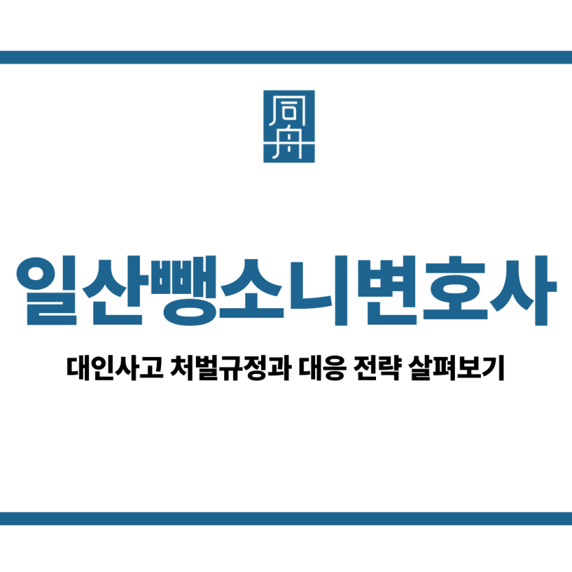 일산뺑소니변호사