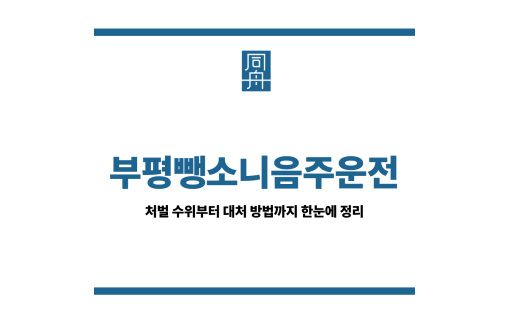 부평뺑소니