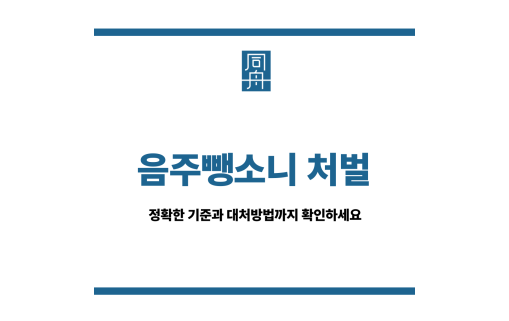 음주뺑소니 처벌