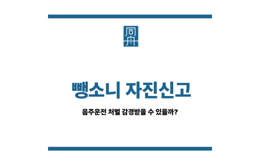 뺑소니 자진신고