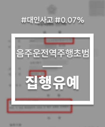 음주운전역주행
