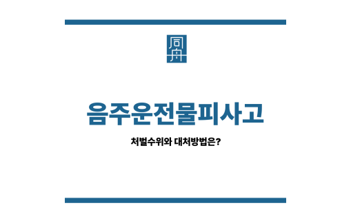 음주운전물피사고