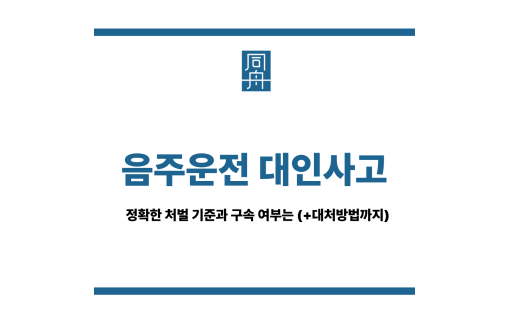 음주운전 대인사고