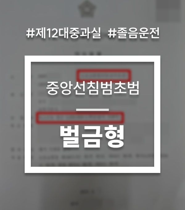 71501b1cb7668fcb145aac94910d5406_1755836440_4437.jpg 제12대중과실위반