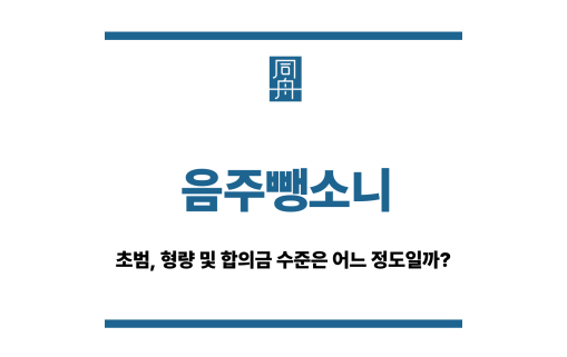 음주뺑소니