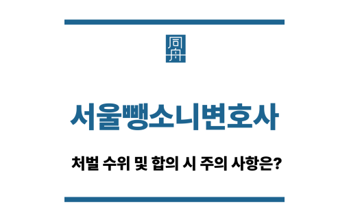 서울뺑소니변호사