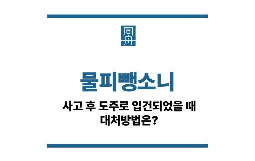 물피뺑소니