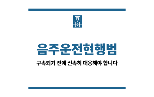 음주운전현행범