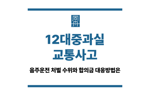 12대중과실교통사고