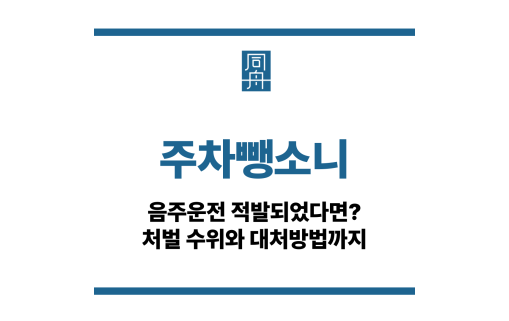 주차뺑소니