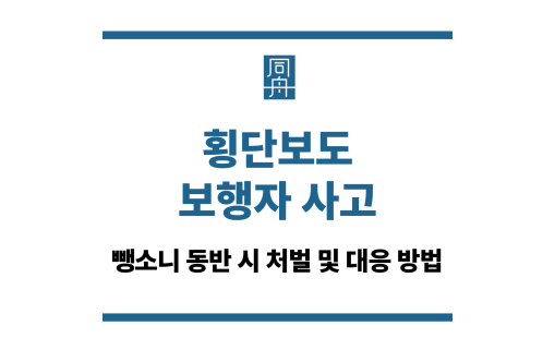 횡단보도 보행자 사고