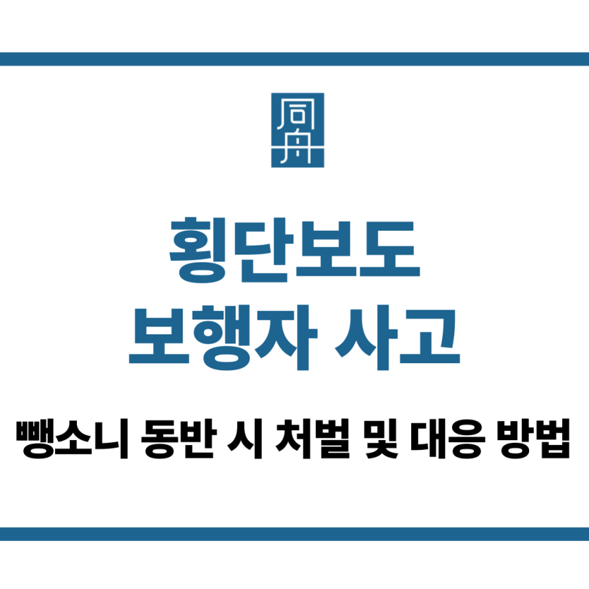 횡단보도 보행자 사고
