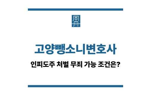 고양뺑소니변호사