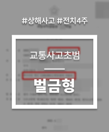 교통사고처리특례법위반치상