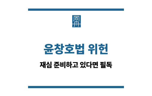 윤창호법 위헌