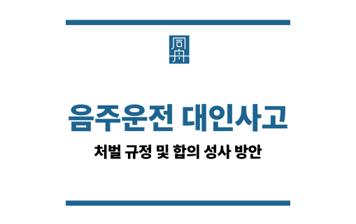 음주운전 대인사고