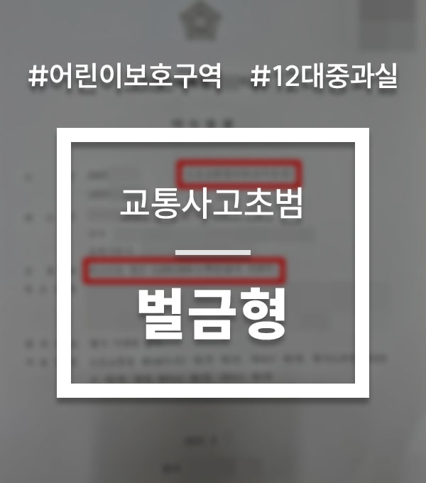 47dd1c092876114e67ece3b06acbdcd5_1761115984_5969.jpg 12대중과실교통사고