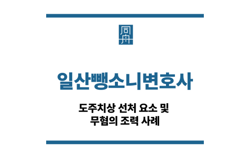 일산뺑소니변호사