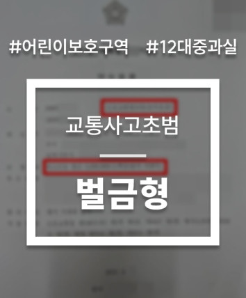 12대중과실교통사고