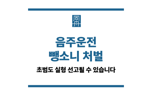 음주운전 뺑소니 처벌