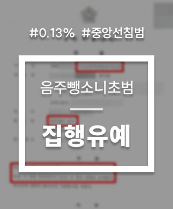 음주 뺑소니 집행유예
