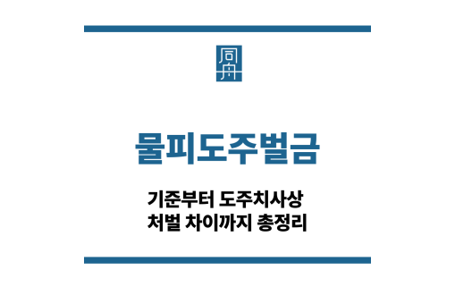 물피도주벌금