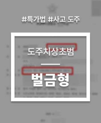 특가법 도주치상