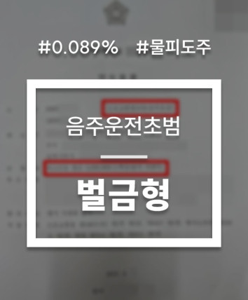 음주운전 물피도주