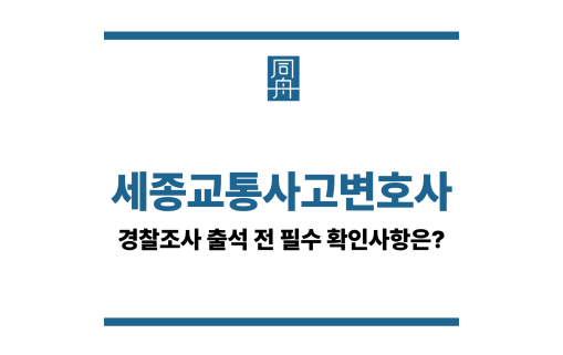세종교통사고변호사