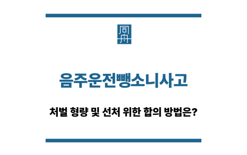 음주운전뺑소니사고