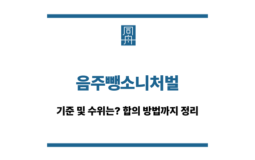 음주뺑소니처벌