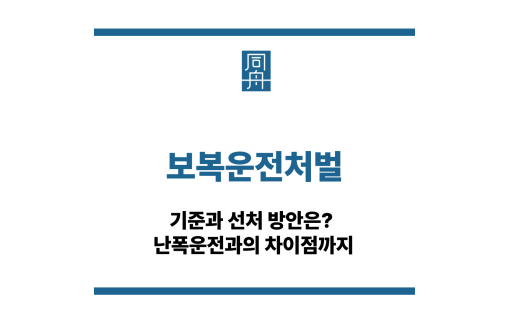 보복운전처벌