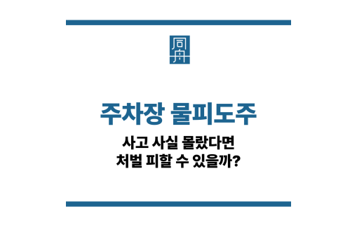 주차장 물피도주