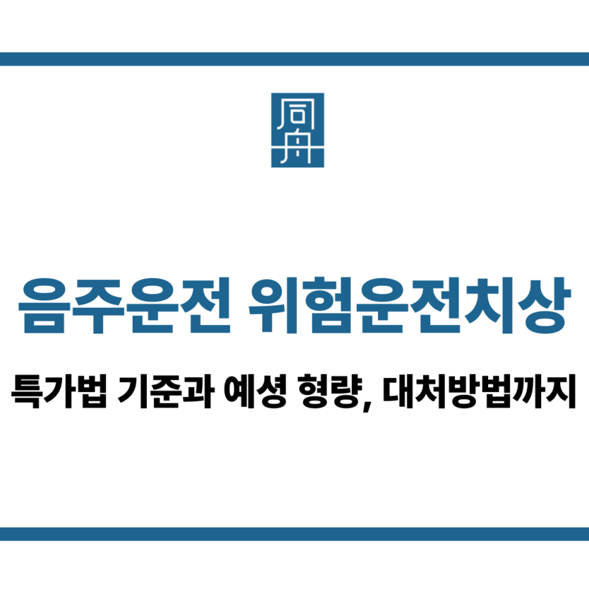 음주운전 위험운전치상