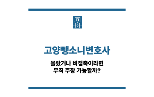 고양뺑소니변호사