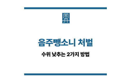 음주뺑소니 처벌