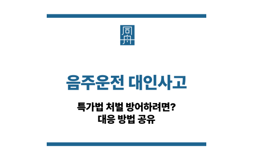 음주운전 대인사고