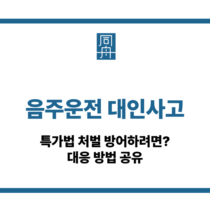음주운전 대인사고